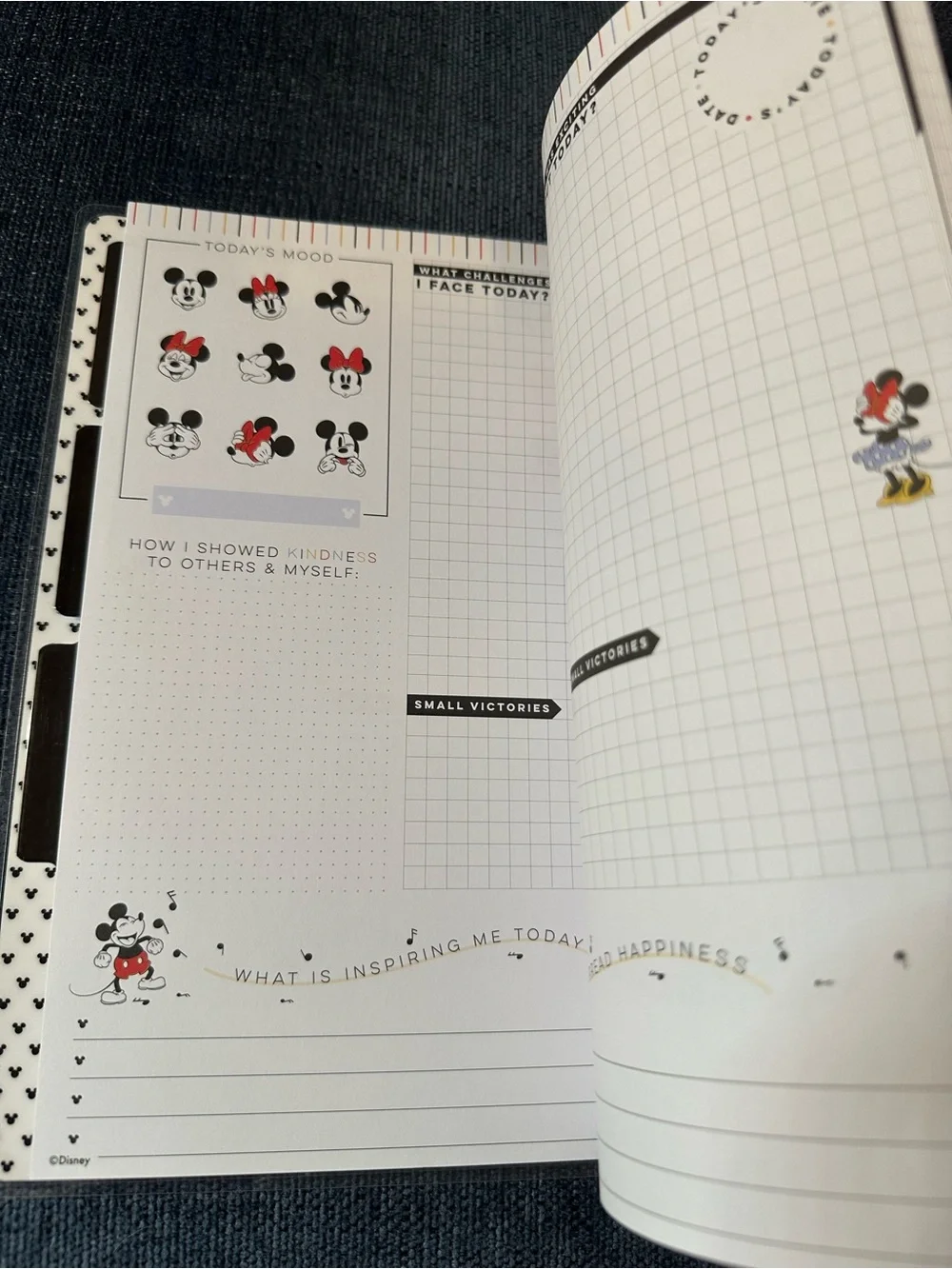 Happy Planner Classic Size Disney Minnie & Mickey Guided Journal